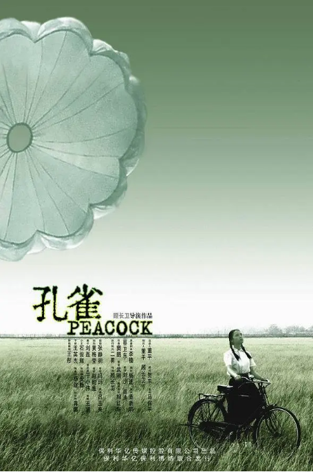 [夸克网盘]国内电影《孔雀》（2005）剧情 / 家庭 豆瓣8.2-燕窝网盘资源下载网