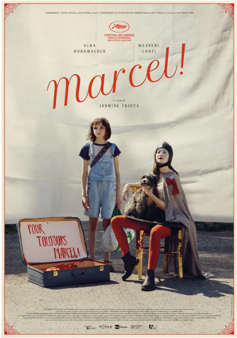 [夸克网盘]意大利电影《马赛尔》（2022）剧情 豆瓣6.4-燕窝网盘资源下载网