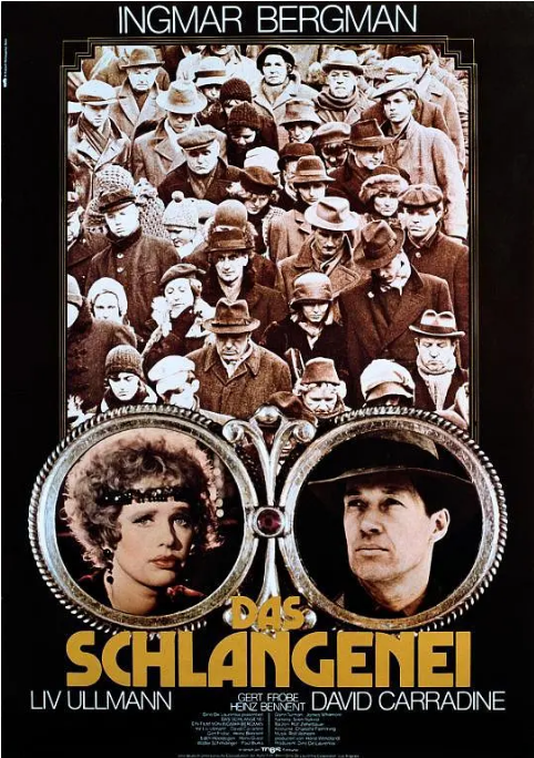 [夸克网盘]美国电影《蛇蛋》（1977）剧情 / 悬疑 / 惊悚 豆瓣6.9-燕窝网盘资源下载网