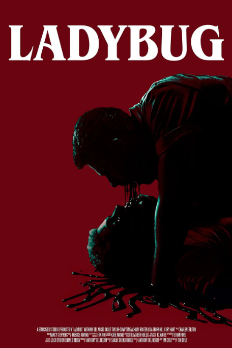 [夸克网盘]美国电影《艳鬼红瓢》（2024）惊悚 / 恐怖-燕窝网盘资源下载网