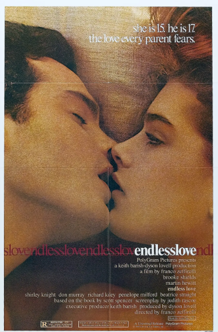 [夸克网盘]美国电影《无尽的爱》（1981）剧情 / 爱情 豆瓣6.6-燕窝网盘资源下载网