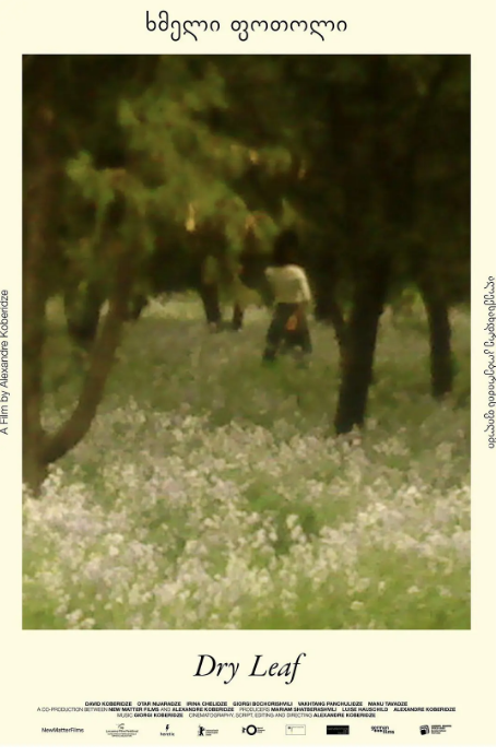 [夸克网盘]德国电影《落叶球》（2025）剧情 豆瓣7.3-燕窝网盘资源下载网