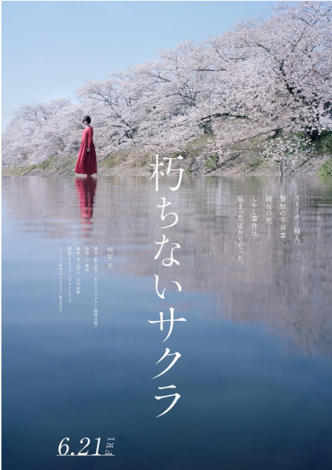 [夸克网盘]日本电影《不朽的樱花》（2024）剧情 / 悬疑 豆瓣6.0-燕窝网盘资源下载网