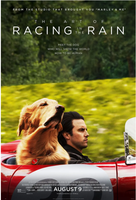 [夸克网盘]美国电影《我在雨中等你》（2019）剧情 / 喜剧 / 爱情 / 运动 豆瓣8.4-燕窝网盘资源下载网