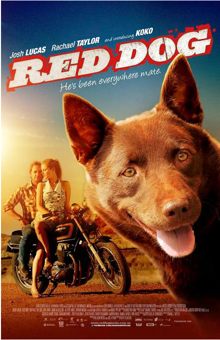 [夸克网盘]澳大利亚电影《红犬历险记》（2011）剧情 / 喜剧 豆瓣8.3-燕窝网盘资源下载网