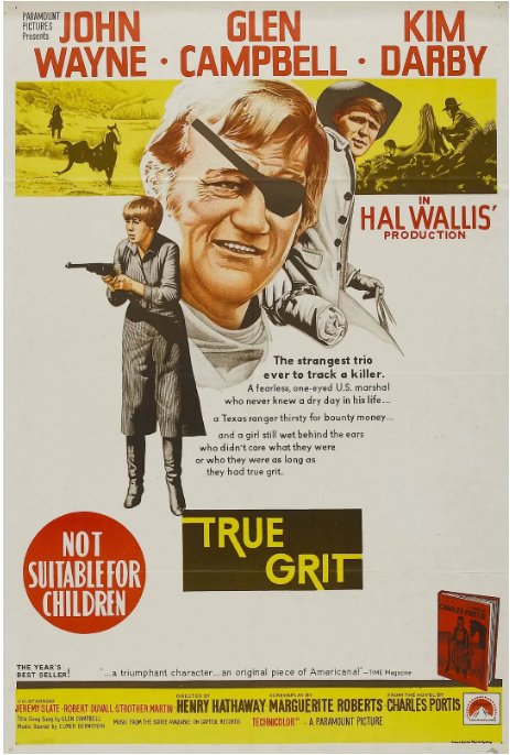 [夸克网盘]美国电影《大地惊雷》（1969）剧情 / 西部 / 冒险 豆瓣7.9-燕窝网盘资源下载网