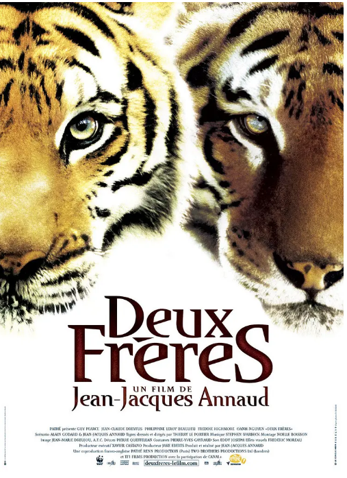 [夸克网盘]法国电影《虎兄虎弟》（2004）剧情 / 冒险 豆瓣8.6-燕窝网盘资源下载网