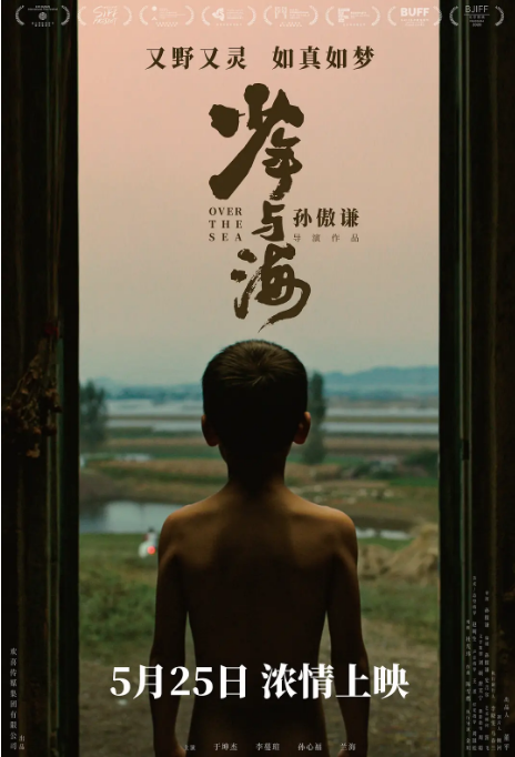 [夸克网盘]国内电影 剧情 / 儿童 / 奇幻《少年与海》（2019）主演: 于坤杰 / 李蔓瑄 / 孙心福 / 兰海隆  豆瓣评分6.3-燕窝网盘资源下载网