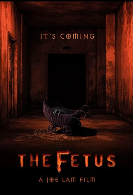 [夸克网盘]美国电影《胎儿》（2025）喜剧 / 恐怖-燕窝网盘资源下载网