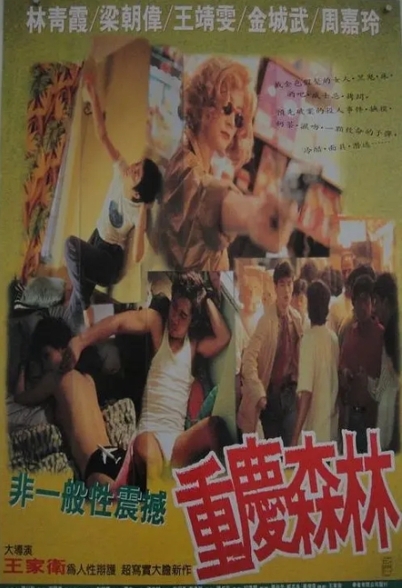 [夸克网盘]电影《重庆森林》香港（1994年）-燕窝网盘资源下载网