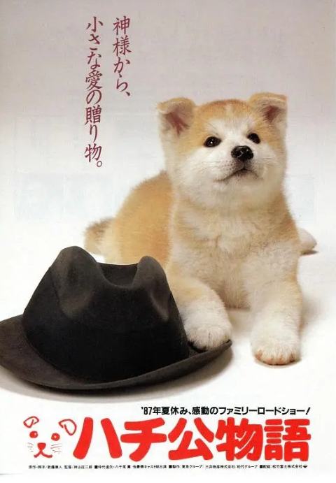 [夸克网盘]电影 《忠犬八公物语》日本（1987）-燕窝网盘资源下载网