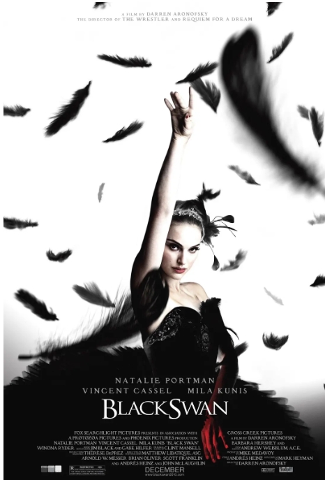 [夸克网盘]美国电影 惊悚《黑天鹅》（2010）-燕窝网盘资源下载网