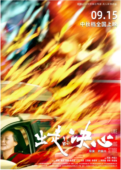 【夸克网盘】国内电影《出走的决心》（2024）剧情 / 家庭 豆瓣8.8-燕窝网盘资源下载网