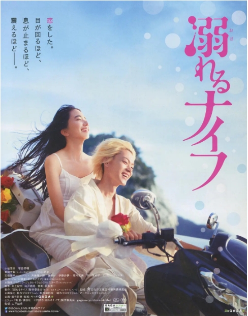 【夸克网盘】高分纯爱日影《溺水小刀》（2016）1080P BluRay高码率 DDP5.1杜比音 内封中日英三字幕-燕窝网盘资源下载网