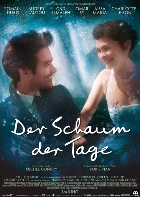 【夸克网盘】法国电影《泡沫人生》（2013）剧情 / 爱情 / 奇幻 豆瓣7.3-燕窝网盘资源下载网