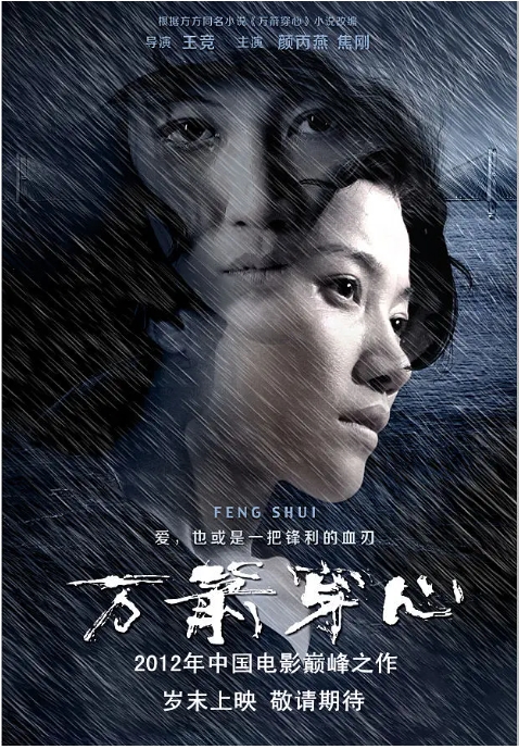 【夸克网盘】国内电影《万箭穿心》（2012）剧情 / 家庭 豆瓣8.6-燕窝网盘资源下载网