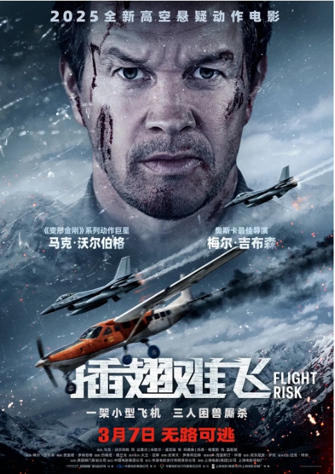 【夸克网盘】美国电影《插翅难飞》（2025）剧情 / 动作 / 惊悚 / 犯罪-燕窝网盘资源下载网