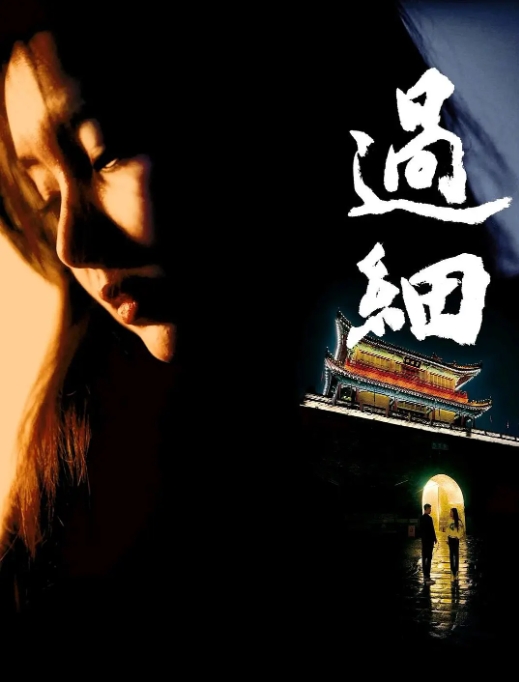 [夸克网盘]电影  剧情 / 爱情 / 家庭《过细》(2024)-燕窝网盘资源下载网