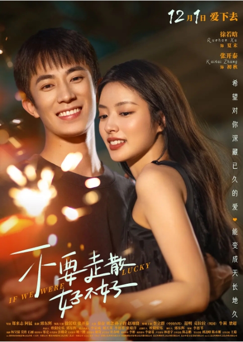 [夸克网盘]电影   爱情《不要走散好不好》（2023）-燕窝网盘资源下载网