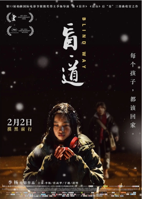[夸克网盘]国内电影《盲道》（2017）剧情 / 犯罪-燕窝网盘资源下载网