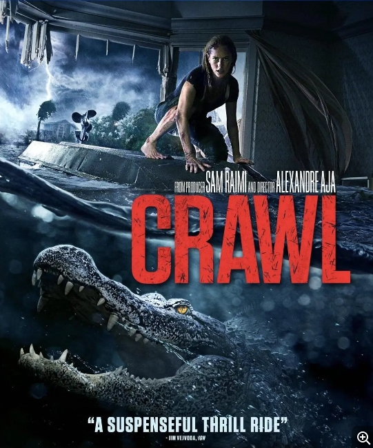 [夸克网盘]电影   剧情 / 惊悚 / 灾难《巨鳄风暴》美国（2019）-燕窝网盘资源下载网