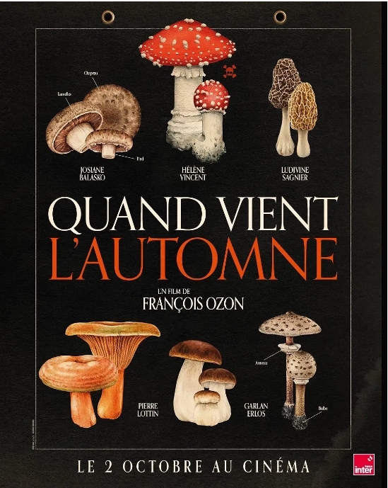 [夸克网盘]法国电影《秋日何时来》（2024）剧情 豆瓣8.0-燕窝网盘资源下载网