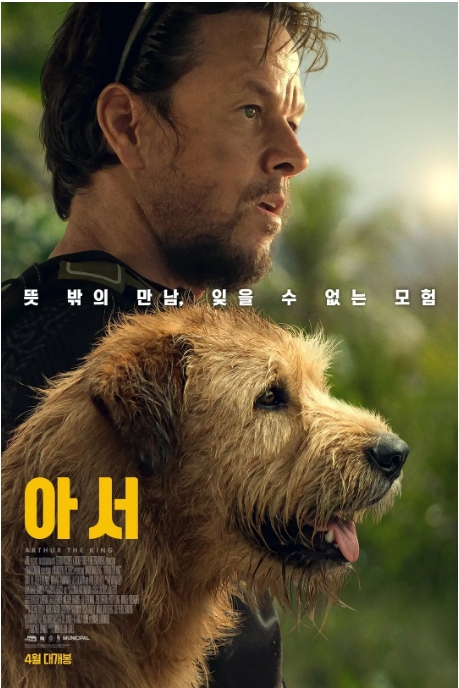 [夸克网盘]美国电影《冠军亚瑟》（2024）剧情 / 冒险 豆瓣7.3-燕窝网盘资源下载网