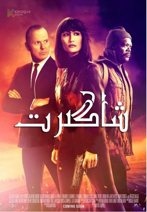 [夸克网盘]美国电影《门徒》（2021）动作 / 惊悚 / 犯罪-燕窝网盘资源下载网