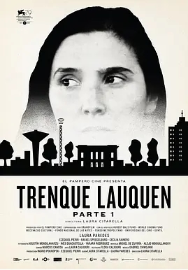 [夸克网盘]阿根廷电影《迷雾中的她》（上、下两部）（2022）剧情 / 悬疑 / 惊悚-燕窝网盘资源下载网