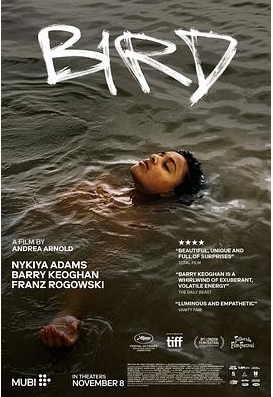 [夸克网盘]电影   剧情《鸟》英国（2024）-燕窝网盘资源下载网