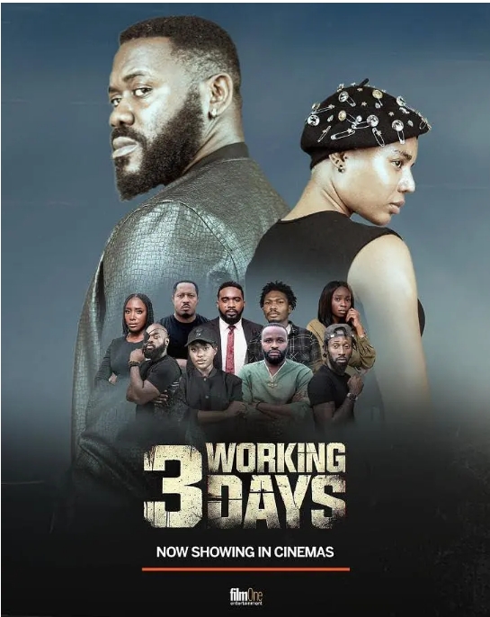 [夸克网盘]尼日利亚电影《3个工作日》（2024）剧情-燕窝网盘资源下载网