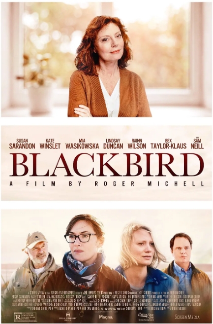 [夸克网盘]美国电影《黑鸟》（2019）剧情 豆瓣7.2-燕窝网盘资源下载网