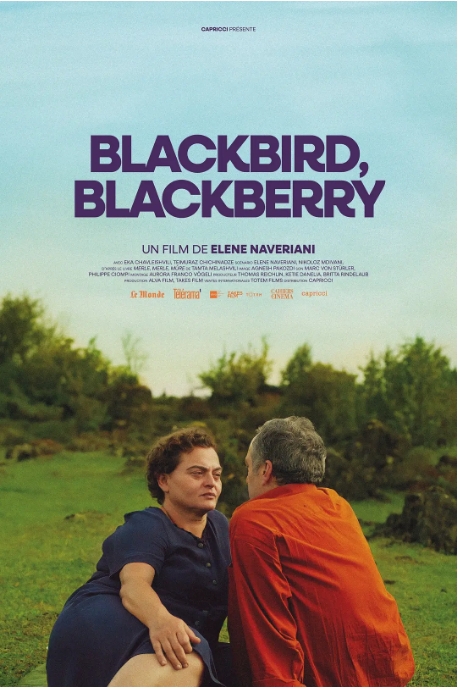 [夸克网盘]瑞士电影《黑鸟黑鸟黑莓》（2023）剧情 豆瓣7.6-燕窝网盘资源下载网