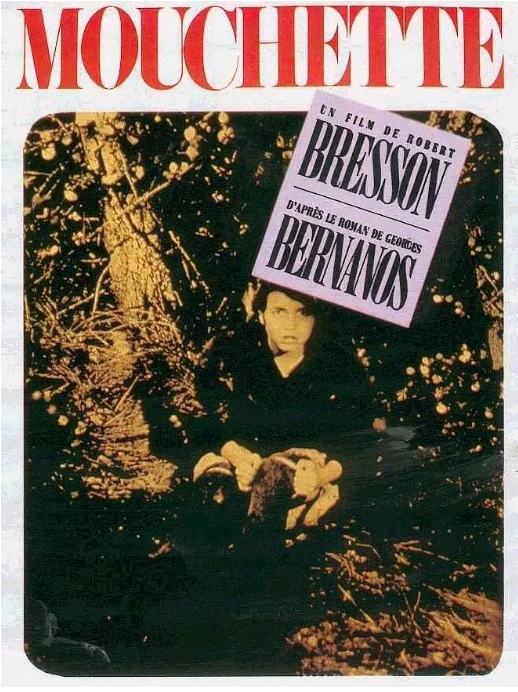 [夸克网盘]法国电影《穆谢特》（1967）剧情 豆瓣8.4-燕窝网盘资源下载网