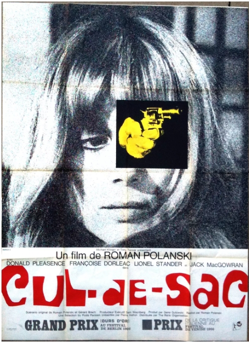 [夸克网盘]英国电影《荒岛惊魂》（1966）剧情 / 喜剧 / 惊悚 豆瓣7.2-燕窝网盘资源下载网