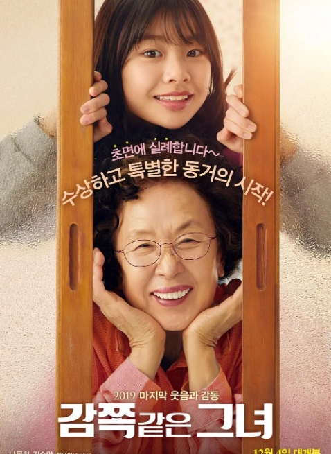 [夸克网盘]韩国电影《天衣无缝的她》（2019）剧情 豆瓣7.7-燕窝网盘资源下载网