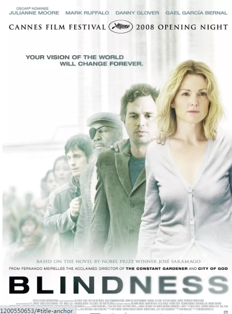 [夸克网盘]加拿大电影《盲流感》（2008）剧情 / 悬疑 / 惊悚 / 灾难 豆瓣7.0-燕窝网盘资源下载网