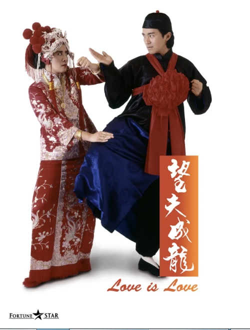 [夸克网盘]香港电影《望夫成龙》（1990）喜剧 / 爱情 豆瓣7.5-燕窝网盘资源下载网