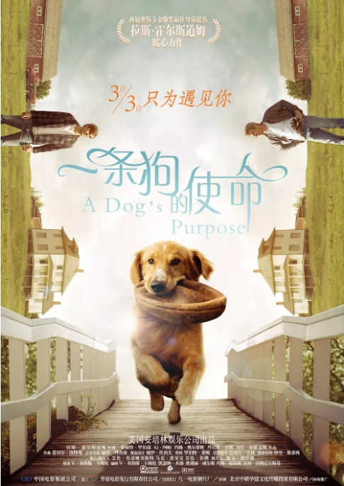 [夸克网盘]电影  剧情 / 喜剧 / 家庭《一条狗的使命》美国（1-2部/2017/2019） 豆瓣7.7-燕窝网盘资源下载网