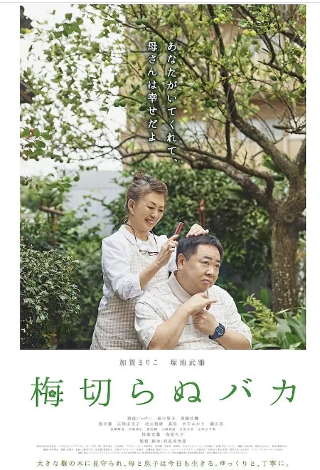 [夸克网盘]日本电影《不砍梅树的傻瓜》（2021）剧情-燕窝网盘资源下载网