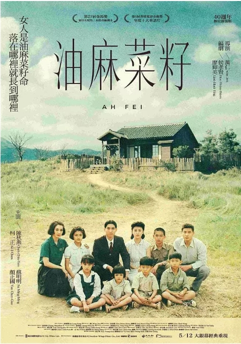 [夸克网盘]台湾电影《油麻菜籽》（1983）剧情 / 家庭 豆瓣7.7-燕窝网盘资源下载网