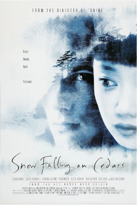 [夸克网盘]美国电影《落在香杉树的雪花》（1999）剧情 / 爱情 / 悬疑 / 惊悚 豆瓣7.4-燕窝网盘资源下载网