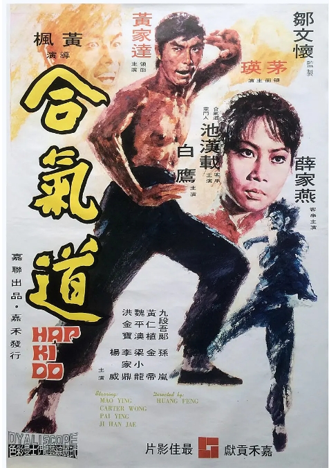香港电影《合气道》（1972）剧情 / 动作 豆瓣6.4-燕窝网盘资源下载网