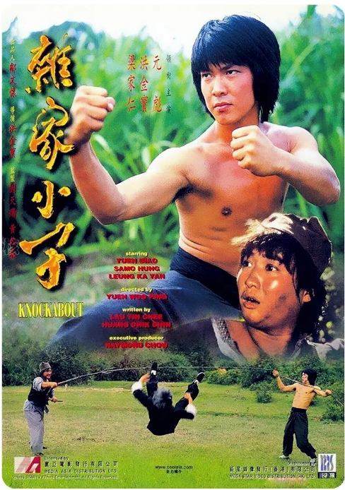 [夸克网盘]香港电影《杂家小子》（1979）喜剧 / 动作 豆瓣7.5-燕窝网盘资源下载网