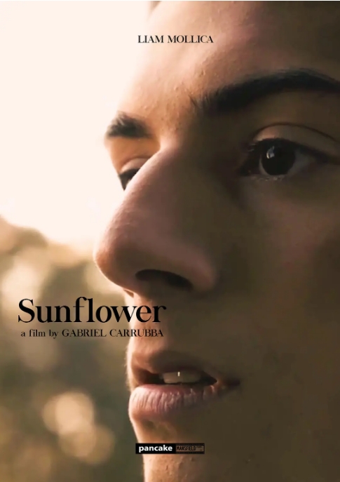 [夸克网盘]澳大利亚电影《向日葵》（2023）剧情-燕窝网盘资源下载网