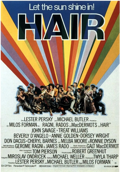 [夸克网盘]美国电影《毛发》（1979）剧情 / 喜剧 / 歌舞 豆瓣7.8-燕窝网盘资源下载网