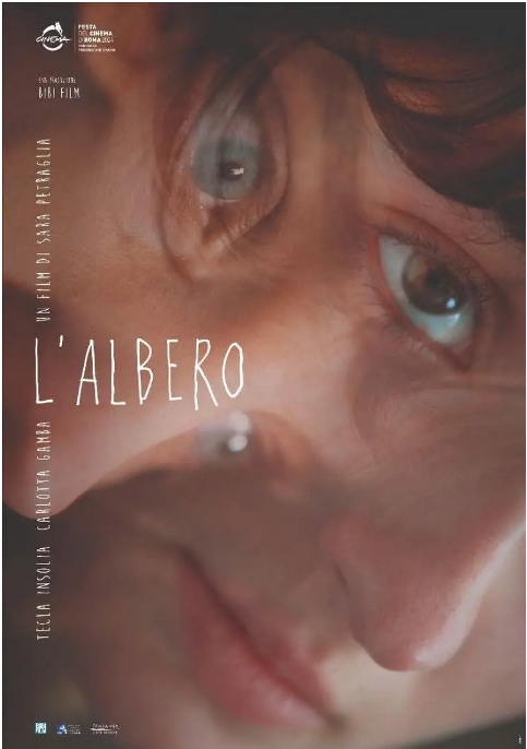 [夸克网盘]意大利电影《树》（2024）剧情-燕窝网盘资源下载网
