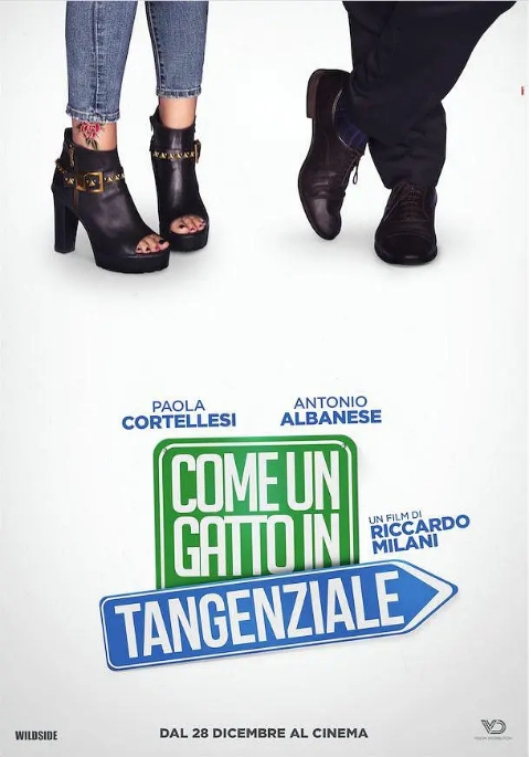 [夸克网盘]意大利电影《高速路上一只猫》（2017）喜剧 豆瓣7.2-燕窝网盘资源下载网