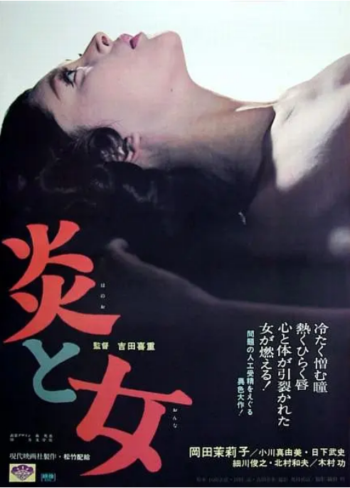 [夸克网盘]日本电影《炎与女》（1967）剧情 豆瓣7.2-燕窝网盘资源下载网