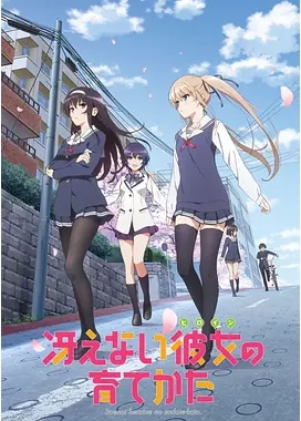 [夸克网盘]日本电视剧   动画《路人女主的养成方法》系列合集 第一季+第二季+剧场版-燕窝网盘资源下载网